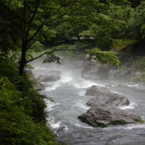 多摩川御岳渓谷の水位と奥多摩湖の貯水率（７/３更新）