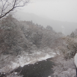 ３月１日より営業再開します
