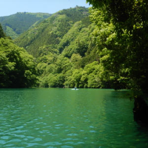 ５月の平日の白丸湖